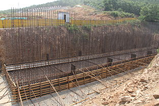 倒排工期，全力推进环山路改建工程高质量建设