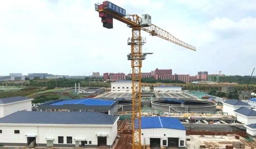 长沙县教育基建再发力 新校落成与重点项目施工进展盘点